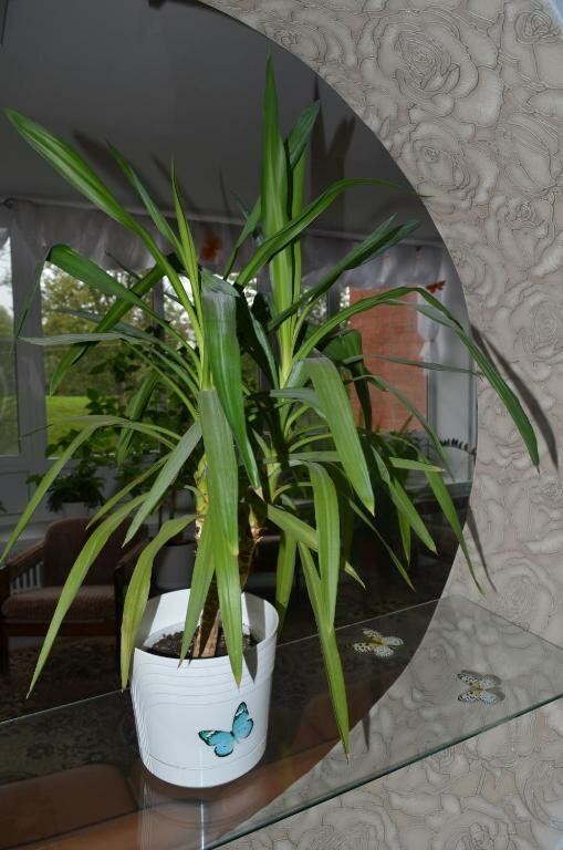 Гостиница Роза ветров Великий Новгород-28