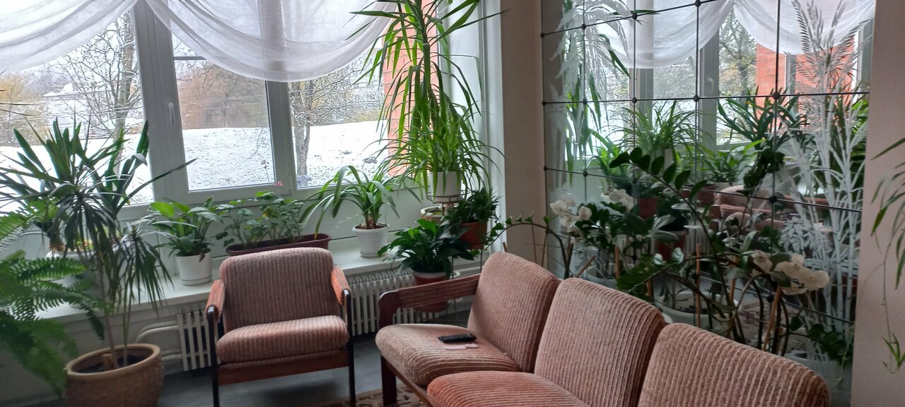 Гостиница Роза ветров Великий Новгород-109