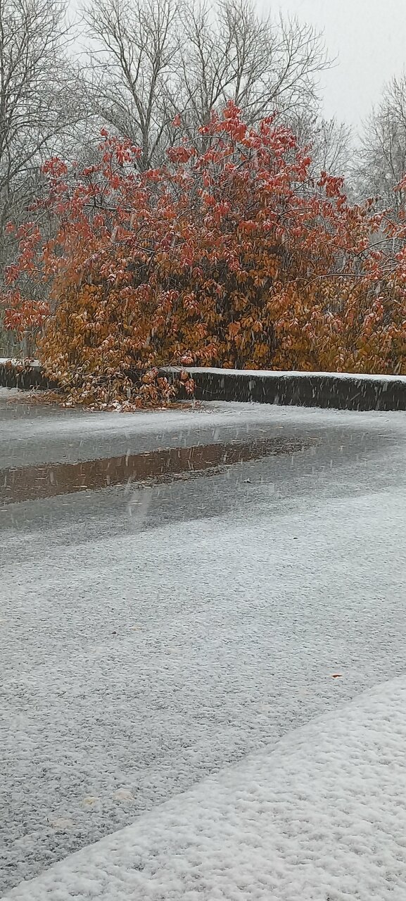 Гостиница Роза ветров Великий Новгород-99