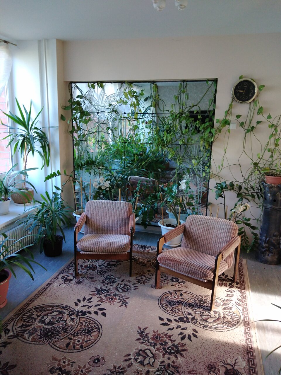 Гостиница Роза ветров Великий Новгород-89