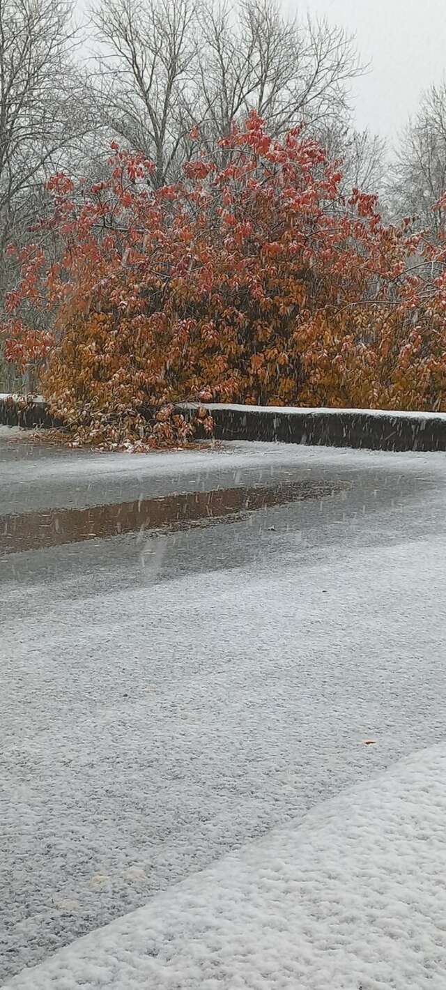 Гостиница Роза ветров Великий Новгород-98