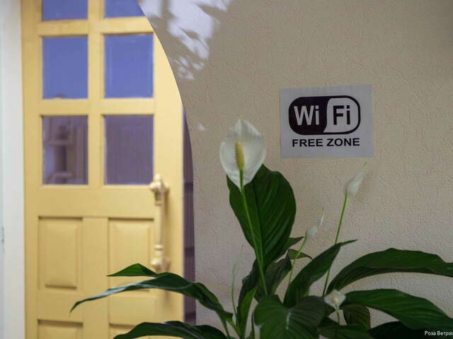 Гостиница Роза ветров Великий Новгород-103